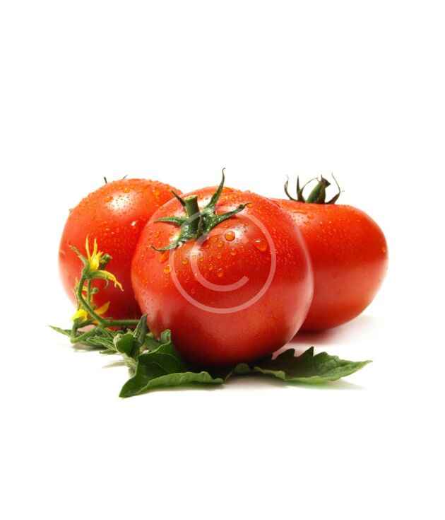 Vine-ripened tomatoes