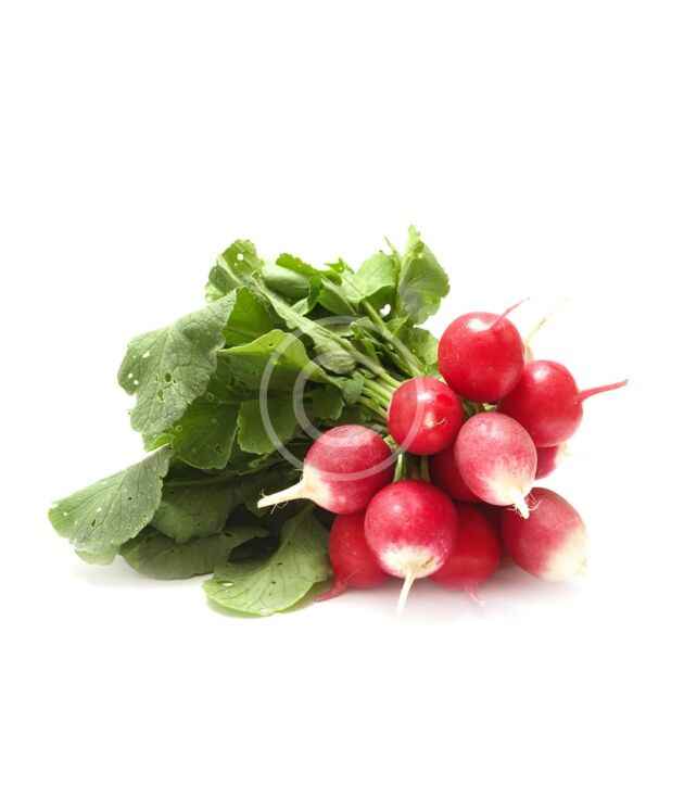 Crisp red radishes